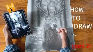 Hyper realistic 😍deer drawing ✍️ , How to draw deer, (part-2)shading  #viralvideo #art 