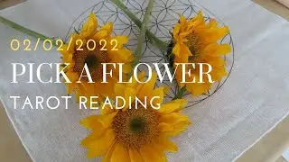 TAROT READING🌻PICK A FLOWER/ PICK A CARD💌READING🧿🌈💖🖤🤍✨🦋