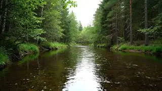 Native American Flute River Journey | Healing Music for Peace & Inner Clarity