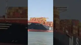 World's largest cargo ship reached Karachi port,
