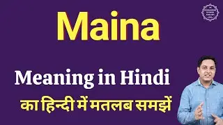 Maina meaning in Hindi | Maina ka matlab kya hota hai