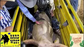 Rodeo 1 Expo Gan Sonora 2024 // Jesús Grijalva Bull Rider