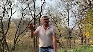Почему необходимо пройти через Цифровую Трансформацию?