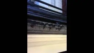 Gutter Coating in Wellsley Gaco Silicone After