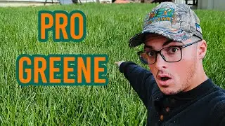 How to get a PRO level Green Lawn // N-Ext&trade; DIY Lawn Care Tips