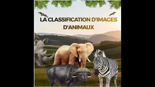 WildVision Pro : Un classificateur d'animaux par Deep Learning.