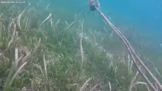 Under Seawater In Lipayran Island Part 2 #lipayranisland #Swimming #vacation #hometown