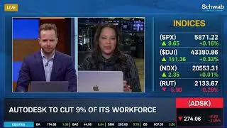 NTAP Shaky Earnings, ADSK Activist Pressure & SOUN Beat