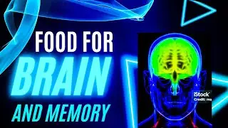 How to Supercharge Your Brain: Nutrition Tips for Memory Boost  &lrm;@HealthForAll-ej6oe&nbsp;