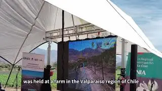 Chile's Solar Irrigation System Technology Exhibition Highlights Solartech Solar Pumping Technology.