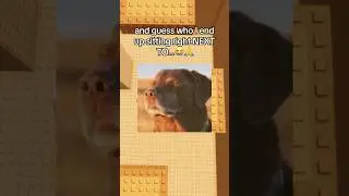 My Crush Likes Me😭🙏#roblox #robloxrant #rblx #relatable #kittyrants
