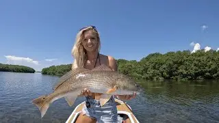 The CRAZY FISHING day I accidentally caught a GROUPER ON FLY