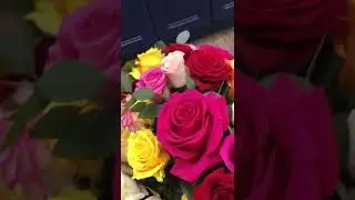80 Rose for 80 Years
