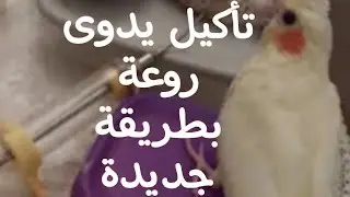 تأكيل يدوى معجزة  لزيادة إنتاج طيور الزينة  سعرة مناسب ونتائج مذهلة ❗️طريقة جديدة لتقديمة