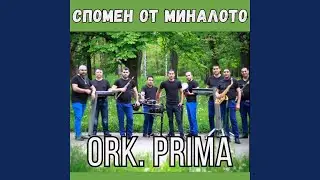 Спомен от миналото
