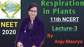 NCERT Revision! Respiration in Plants! NEET 2020! Lecture- 3! By-Anju Maurya