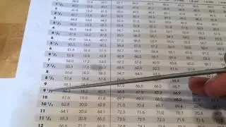 RING SIZE 9.5 U.S. - SIZING CHART