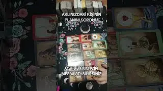 AKLINIZDAKİ KİŞİNİN PLANINI SORDUM #tarot #tarotreading #astroloji #viral #fyp #tarotcards