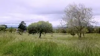 THE ULTIMATE DREAM HOME in Valmary Park, Durbanville Cape Town