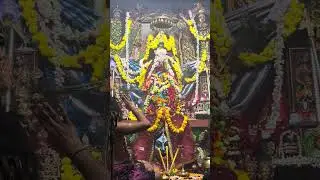 MAKAR SANKRANTI RE SANDHYA ALATI NEW BUS STAND #berhampur #odisha #kali #maa #puja #dandanacha 