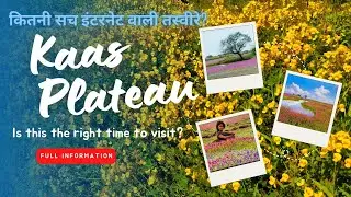Kaas Plateau 2024 | क्या आगया Valley Of Flower देखणे का सही टाइम?