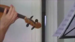 Viola - gudok 407 mm (Test 456