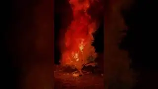 Ashula yoqdimi ?