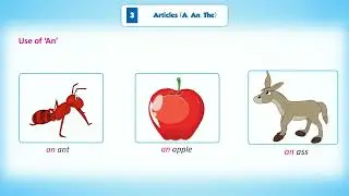 Articles (A, An, The) || Chapter-3 || English Grammar-1 || Class-1