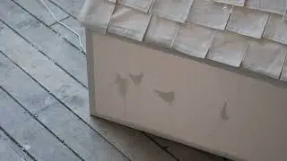 Never Eat Shredded Wheat. Chickens in motion . no audio