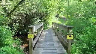 Neilson Regional Park at Hatzic Lake Mission BC Canada May 23,2024