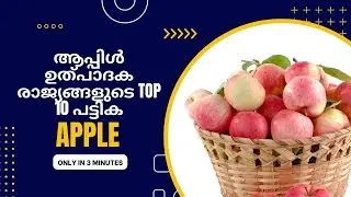Top 10 Apple Producing Countries 🍎🍏