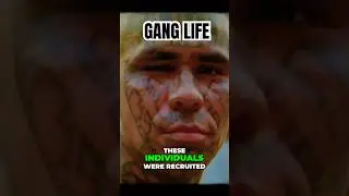 The Dark Journey - How Young Lives Enter Gang Life #ganglife #gangs #prisonlife #prison #gangcrime