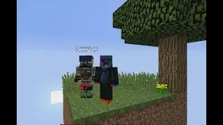 Minecraft 1.14 SkyBlock Ep 1