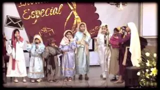 Niños de Israel - Procielo Junior