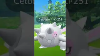 Cetitan Debut in Pok&eacute;mon Go #shorts #debut #cetitan #catch #rare #spawn #pokemon #ultragoo #cetoddle