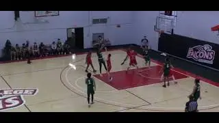 Freshman year highlights at Webber international university