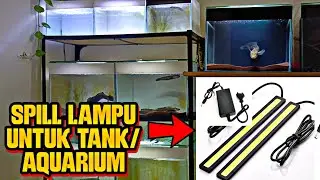 LAMPU MURAH UNTUK AQUARIUM / TANK