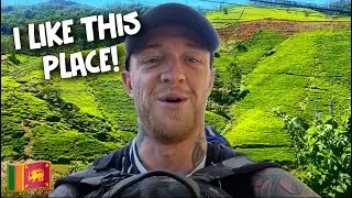 Why We Absolutely LOVE Nuwara Eliya in Sri Lanka! 🇱🇰