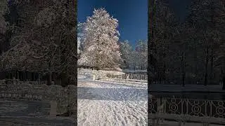 Winter☃️Activities👉Holiday in a Park #asmr #travel #explore #brrr #hygge #viral #fyp #snow #snowfall