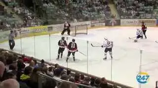 Rebels vs Tigers Game 4, April 2
