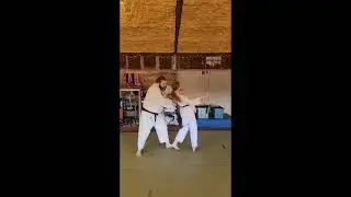 Tedori jujitsu Brown belt Yellow Tip 6: shoulder & head