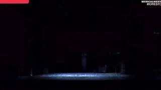 Madama Butterfly - Tu, tu piccolo Iddio - Maria Teresa Leva