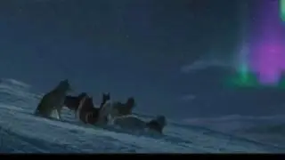 My Heart Will Go On-Eight Below