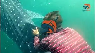Scuba Diving With Whale Shark Near Charna Island | Mubarak Village | Balochistan | Azadi News