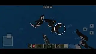 Minecraft All ocean with the killer Whale  🐳🐋🐋🐋🐳🐳#minecraft #trending #gaming #youtube #viral 