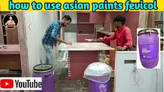 We Tested DIY Hacks Using Asian Paints Fevicol