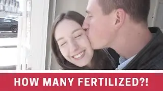 HOW MANY EGGS FERTILIZED? | IVF Day 15 | Ayla and Caleb