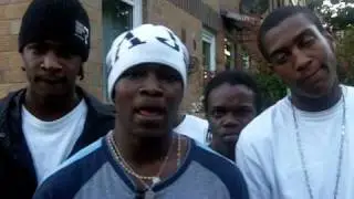 Gambit Freestyle 2010