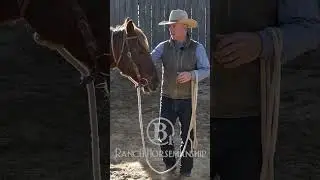 Здесь можно приобрести шейный канат. b1horsemanship.com