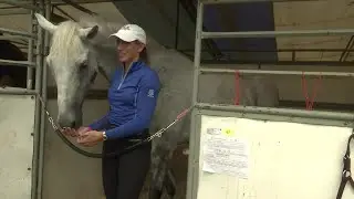 Rebecca Farm equestrian triathlon celebrates 20th year